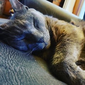 Meet your Posher, Mallory